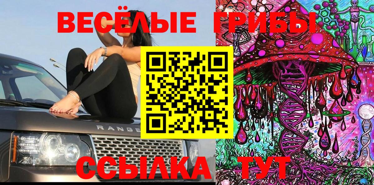 Псилоцибиновые грибы GOLDEN TEACHER Лесозаводск