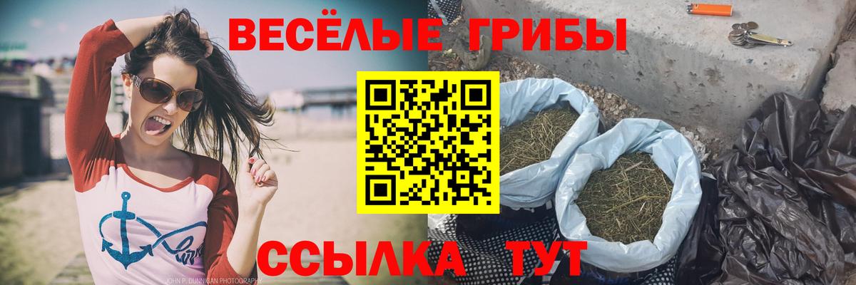 где найти   Псилоцибиновые грибы Magic Shrooms  Псилоцибиновые грибы Psilocybe  Вход с VPN  Лесозаводск 
